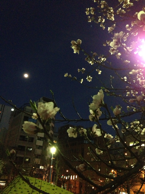 f:id:vivaviva2012:20130327122220j:plain f:id:vivaviva2012:20130327122220j:plain