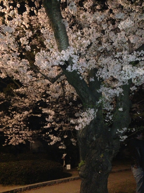 f:id:vivaviva2012:20130403121814j:plain f:id:vivaviva2012:20130403121814j:plain
