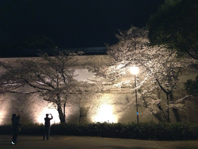 f:id:vivaviva2012:20130403122004j:plain f:id:vivaviva2012:20130403122004j:plain