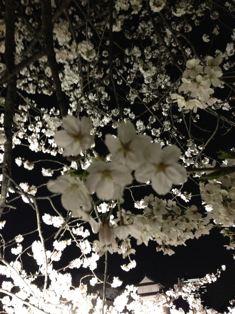 f:id:vivaviva2012:20130403122200j:plain f:id:vivaviva2012:20130403122200j:plain