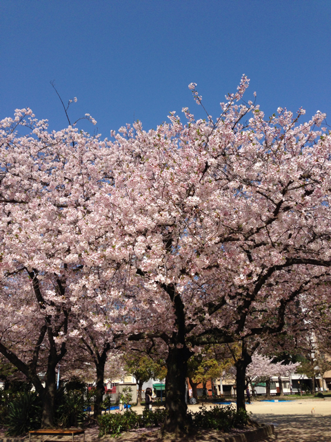 f:id:vivaviva2012:20130408121550j:plain f:id:vivaviva2012:20130408121550j:plain