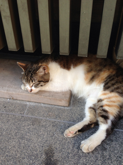 f:id:vivaviva2012:20130618123010j:plain f:id:vivaviva2012:20130618123010j:plain