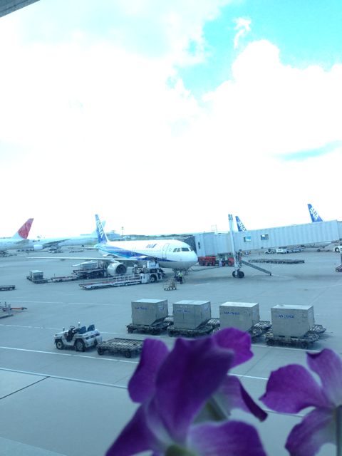 f:id:vivaviva2012:20130917122118j:plain f:id:vivaviva2012:20130917122118j:plain