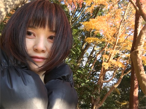 f:id:vivayumiko:20151231202746j:image f:id:vivayumiko:20151231202746j:image