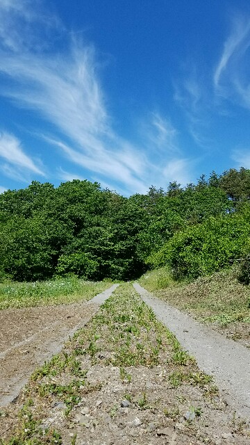 f:id:vonreuenthal:20160530130613j:image f:id:vonreuenthal:20160530130613j:image