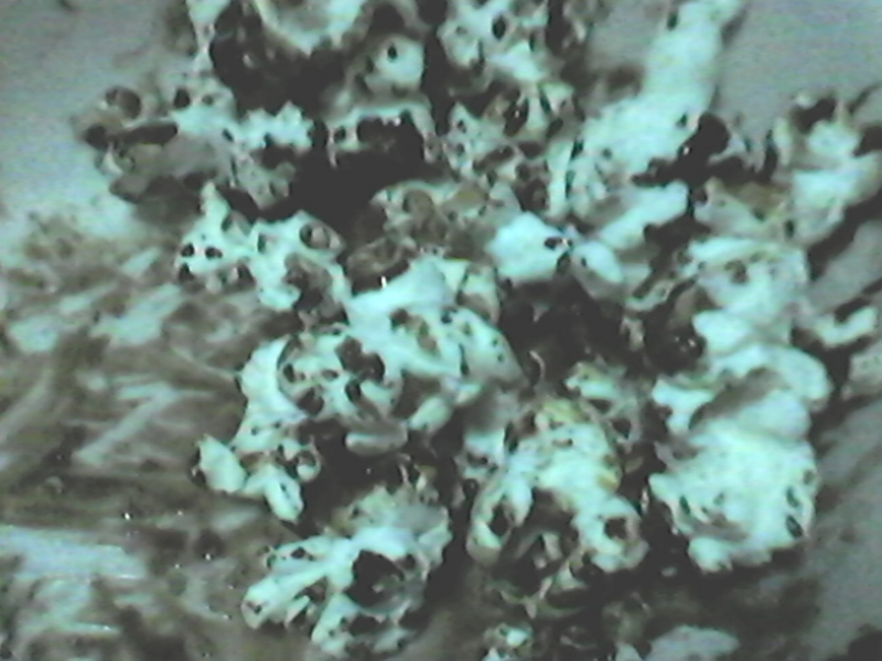 f:id:vornography:20120710161542j:image f:id:vornography:20120710161542j:image