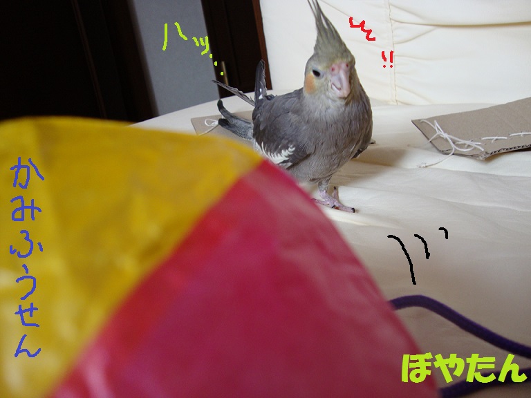 f:id:voyatan:20140503162634j:plain f:id:voyatan:20140503162634j:plain