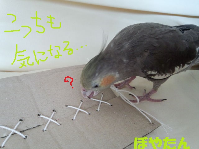 f:id:voyatan:20140503162637j:plain f:id:voyatan:20140503162637j:plain