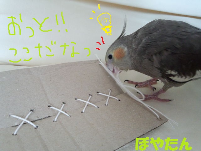 f:id:voyatan:20140503162638j:plain f:id:voyatan:20140503162638j:plain