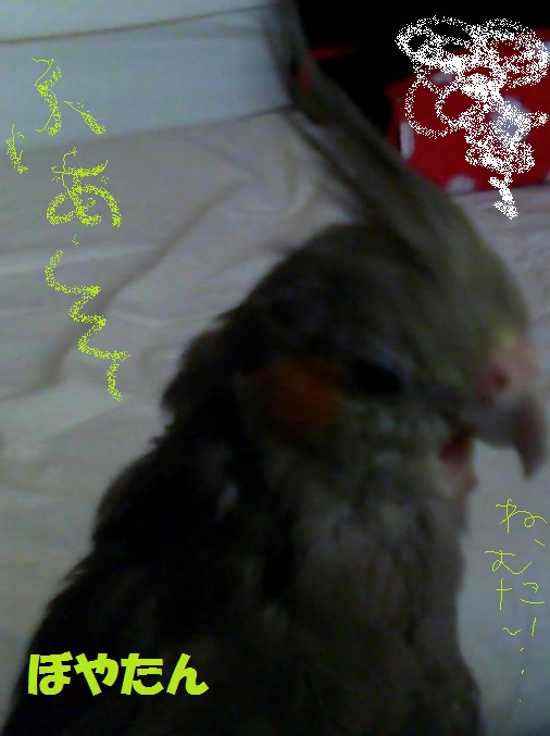 f:id:voyatan:20140710211219j:plain f:id:voyatan:20140710211219j:plain