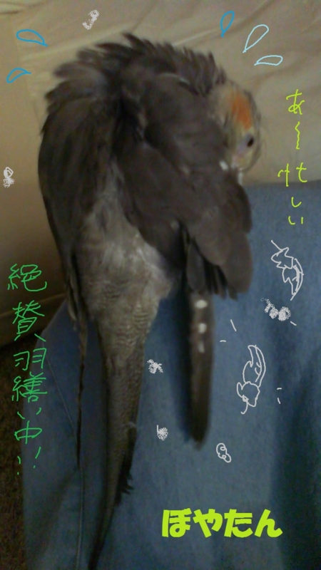 f:id:voyatan:20140710211220j:plain f:id:voyatan:20140710211220j:plain