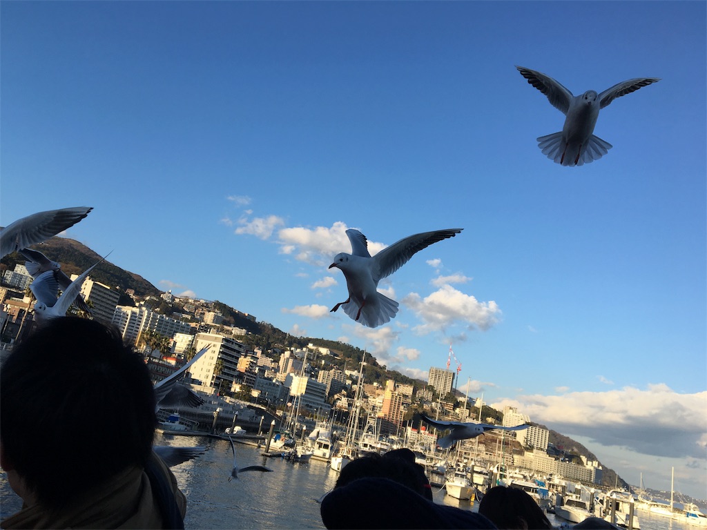 f:id:vrest72l9:20151230170804j:image f:id:vrest72l9:20151230170804j:image