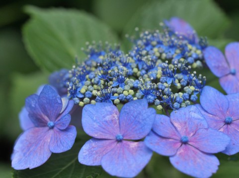 f:id:vtvjapan:20160609125822j:plain f:id:vtvjapan:20160609125822j:plain