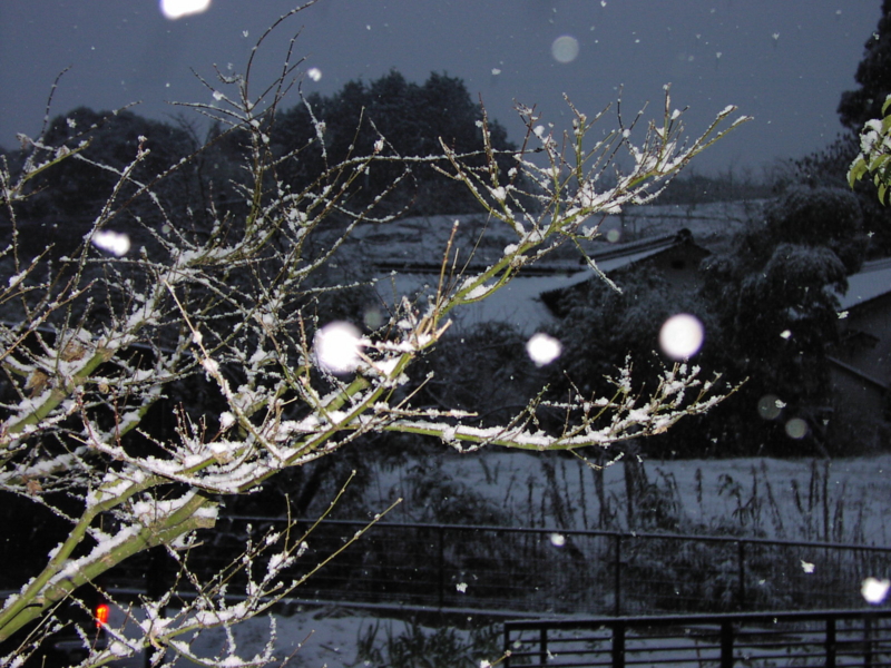 f:id:w-hiroki-45:20040123174536j:plain f:id:w-hiroki-45:20040123174536j:plain