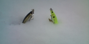f:id:w-shingo:20120229135247j:image f:id:w-shingo:20120229135247j:image