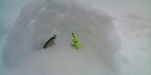 f:id:w-shingo:20120229135401j:image f:id:w-shingo:20120229135401j:image
