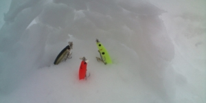 f:id:w-shingo:20120229135427j:image f:id:w-shingo:20120229135427j:image