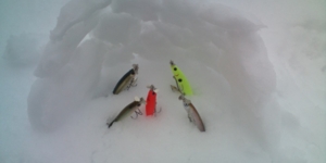 f:id:w-shingo:20120229135456j:image f:id:w-shingo:20120229135456j:image