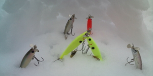 f:id:w-shingo:20120229135541j:image f:id:w-shingo:20120229135541j:image