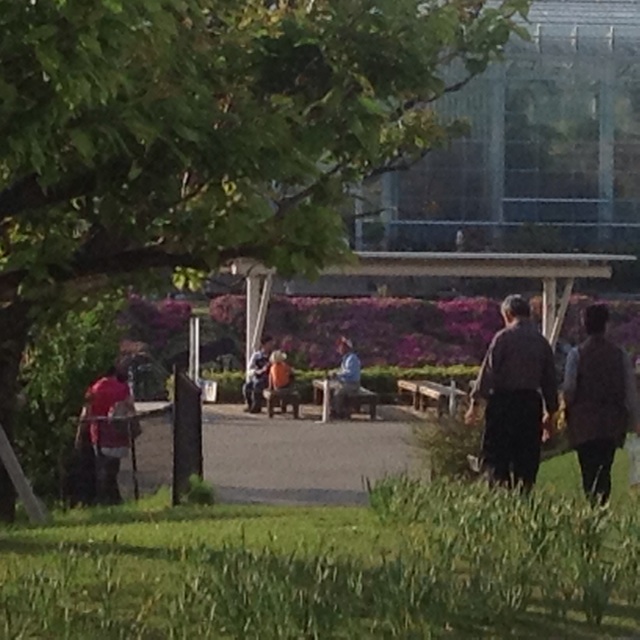 f:id:wacag:20140502220445j:plain f:id:wacag:20140502220445j:plain