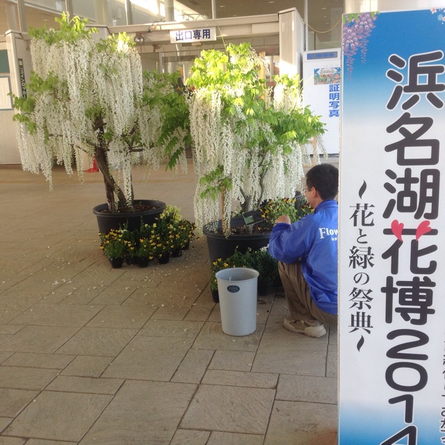 f:id:wacag:20140502220534j:plain f:id:wacag:20140502220534j:plain