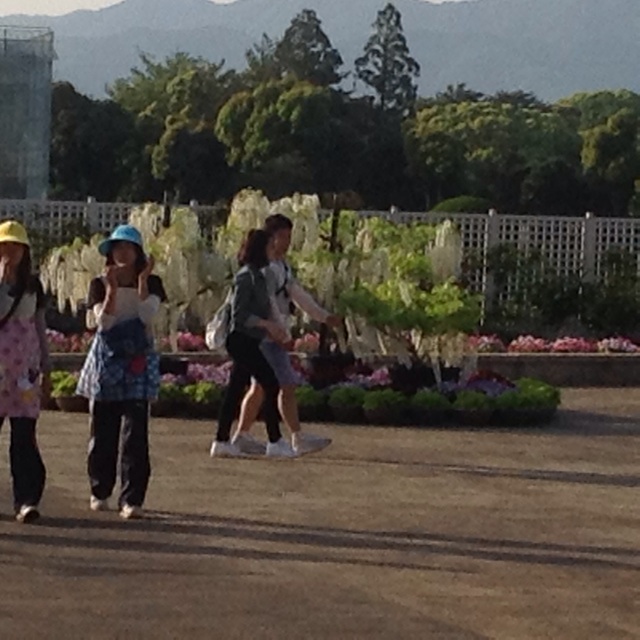 f:id:wacag:20140502220619j:plain f:id:wacag:20140502220619j:plain