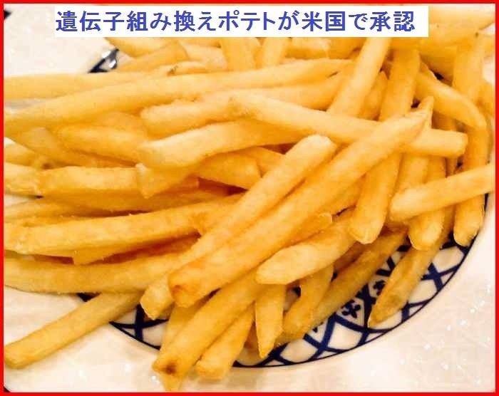 f:id:wacag:20141111190418j:plain f:id:wacag:20141111190418j:plain