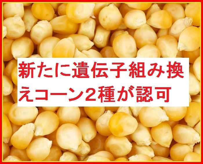f:id:wacag:20141113174454j:plain f:id:wacag:20141113174454j:plain