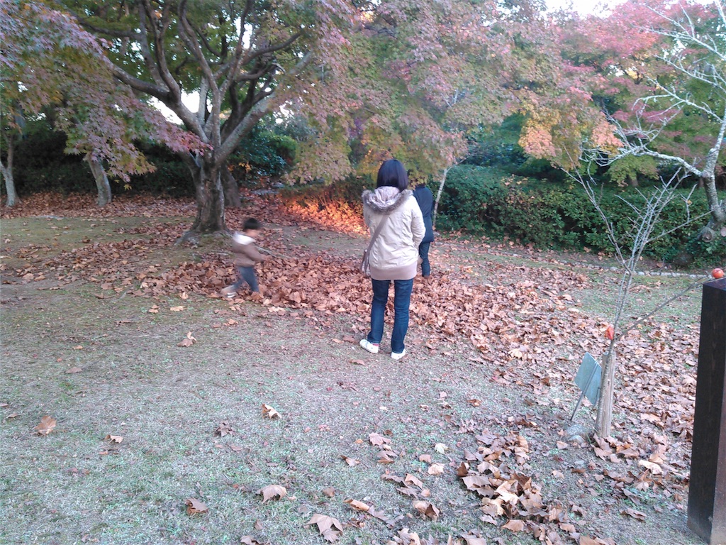 f:id:wacag:20151130223108j:image f:id:wacag:20151130223108j:image