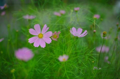 f:id:wadahiromi:20110930133206j:image f:id:wadahiromi:20110930133206j:image