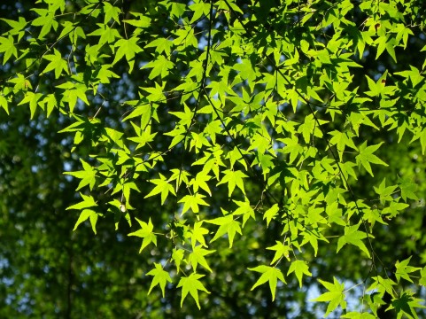 f:id:wadahiromi:20111011215201j:image:w360 f:id:wadahiromi:20111011215201j:image:w360