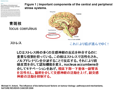 f:id:wadahiromi:20150621134636p:image:w280 f:id:wadahiromi:20150621134636p:image:w280