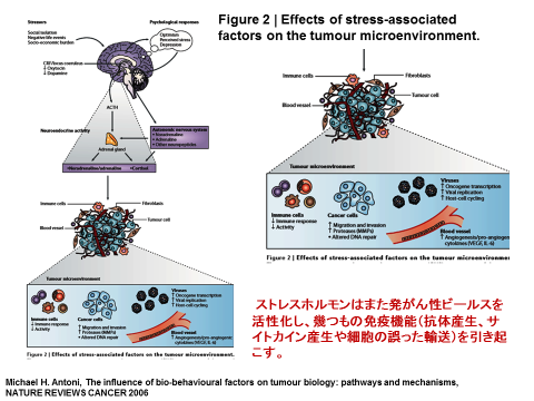 f:id:wadahiromi:20150621134802p:image:w360 f:id:wadahiromi:20150621134802p:image:w360