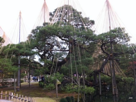 f:id:waiiwaii:20101114161809j:image f:id:waiiwaii:20101114161809j:image