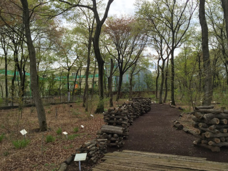 f:id:waiiwaii:20150420013618j:plain f:id:waiiwaii:20150420013618j:plain