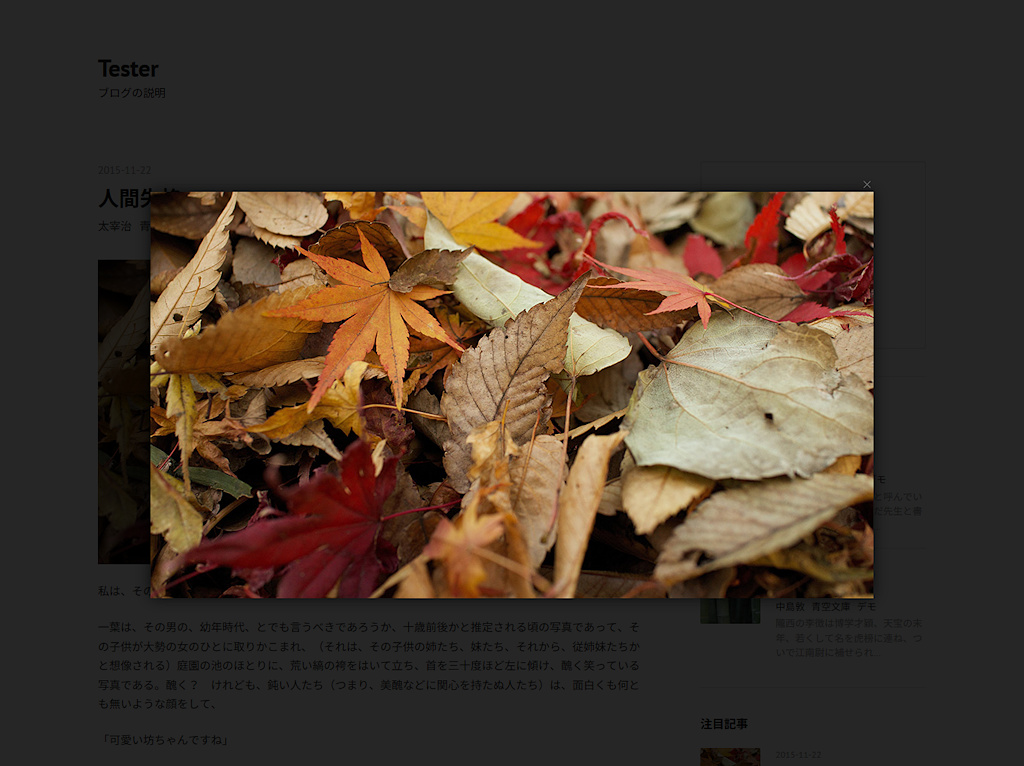 f:id:waitingmoon:20151130121011j:plain f:id:waitingmoon:20151130121011j:plain