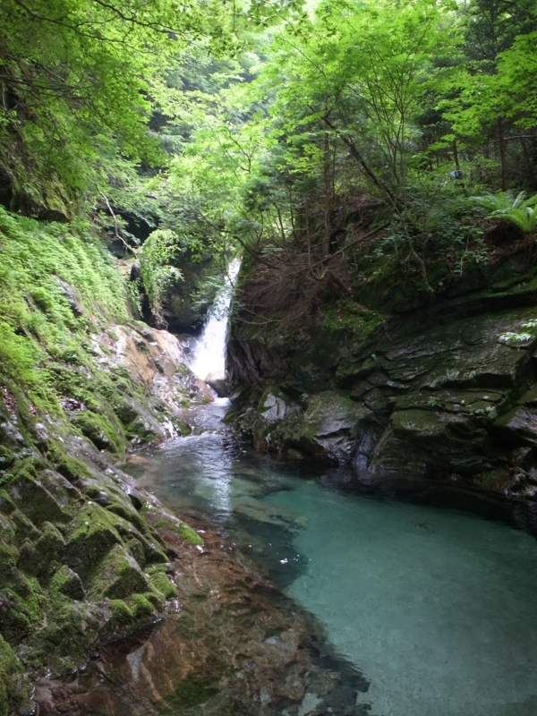 f:id:wak2006:20130727125248j:plain f:id:wak2006:20130727125248j:plain