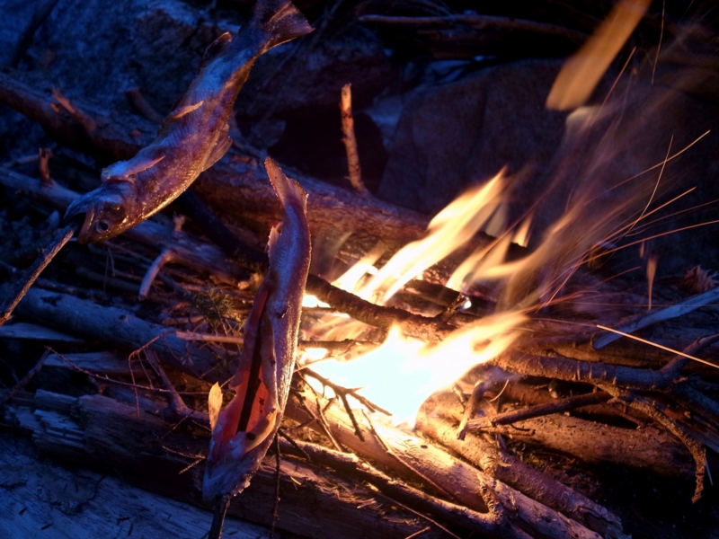 f:id:wak2006:20130727191254j:plain f:id:wak2006:20130727191254j:plain