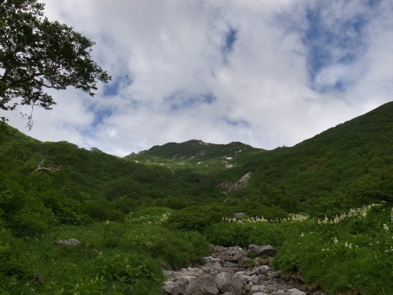 f:id:wak2006:20130728101551j:plain f:id:wak2006:20130728101551j:plain