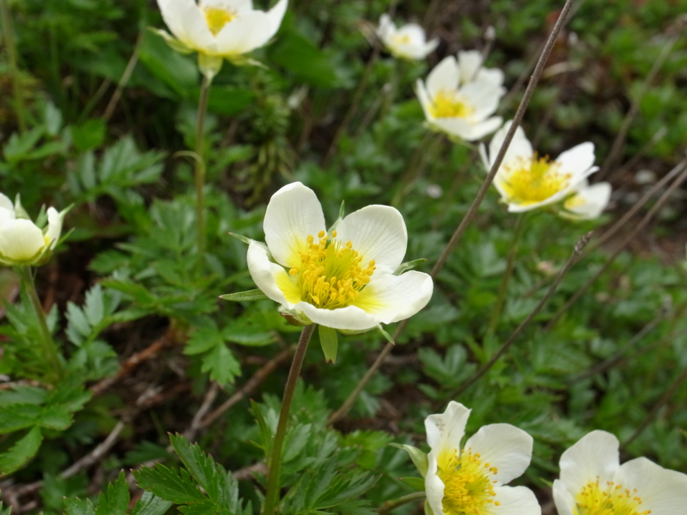 f:id:wak2006:20130728105222j:plain f:id:wak2006:20130728105222j:plain