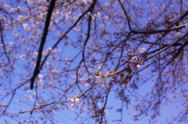 f:id:wak2006:20150409163034j:plain