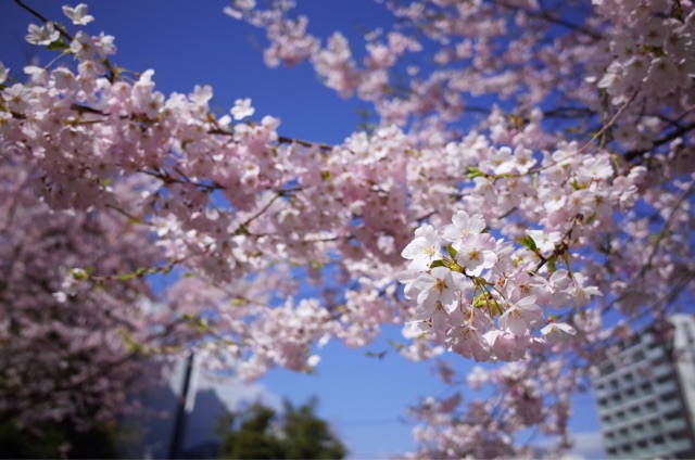 f:id:wak2006:20150409163206j:plain