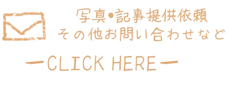 f:id:wakuwakutomo:20160523121429j:plain