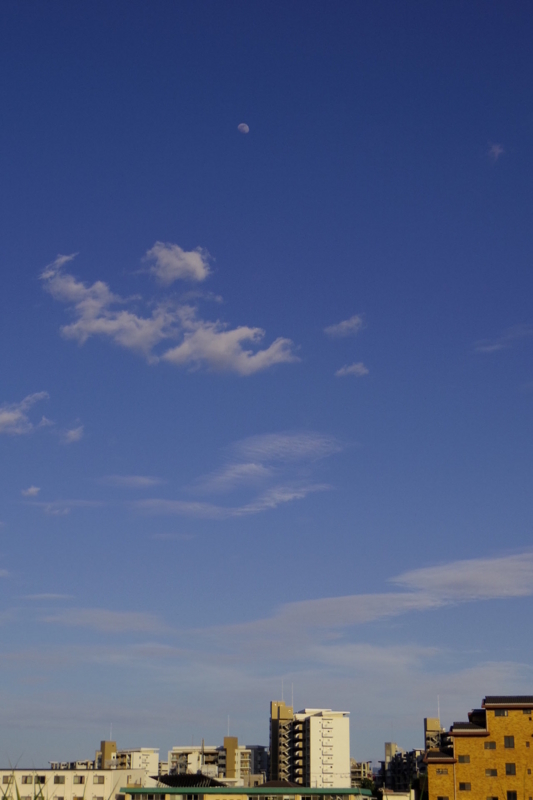 f:id:walk0047:20150529185822j:plain f:id:walk0047:20150529185822j:plain