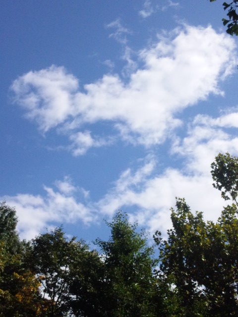 f:id:waltham70:20131017112923j:plain