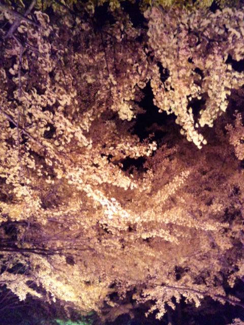 f:id:waltham70:20131103175954j:plain