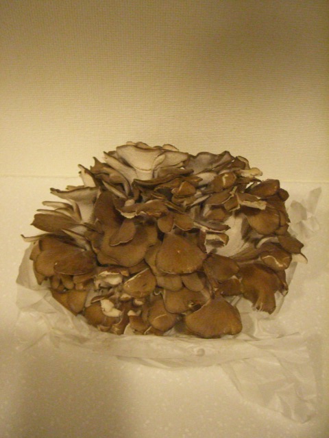 f:id:waltham70:20140223092813j:plain f:id:waltham70:20140223092813j:plain