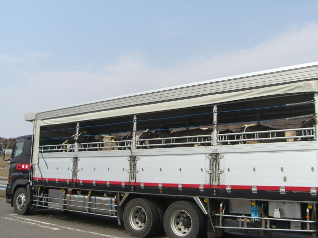 f:id:waltham70:20140427045219j:plain f:id:waltham70:20140427045219j:plain