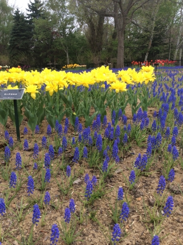 f:id:waltham70:20140516151942j:plain f:id:waltham70:20140516151942j:plain