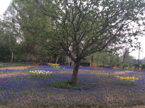 f:id:waltham70:20140516151950j:plain f:id:waltham70:20140516151950j:plain